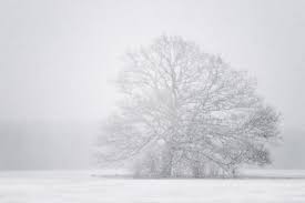 Blizzard