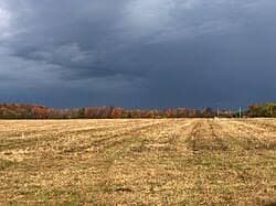 Nimbostratus Clouds