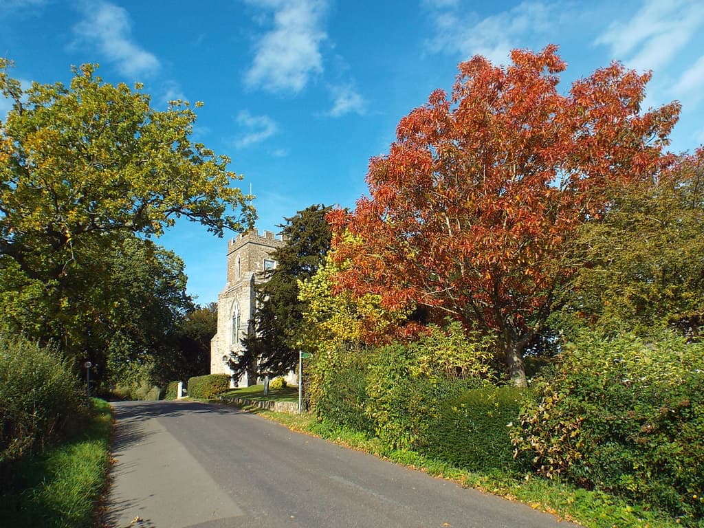 A tree-lined road through Sevenoaks Weald, Kent, with autumn foliage in gold and orange