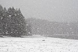 Snow and Ice